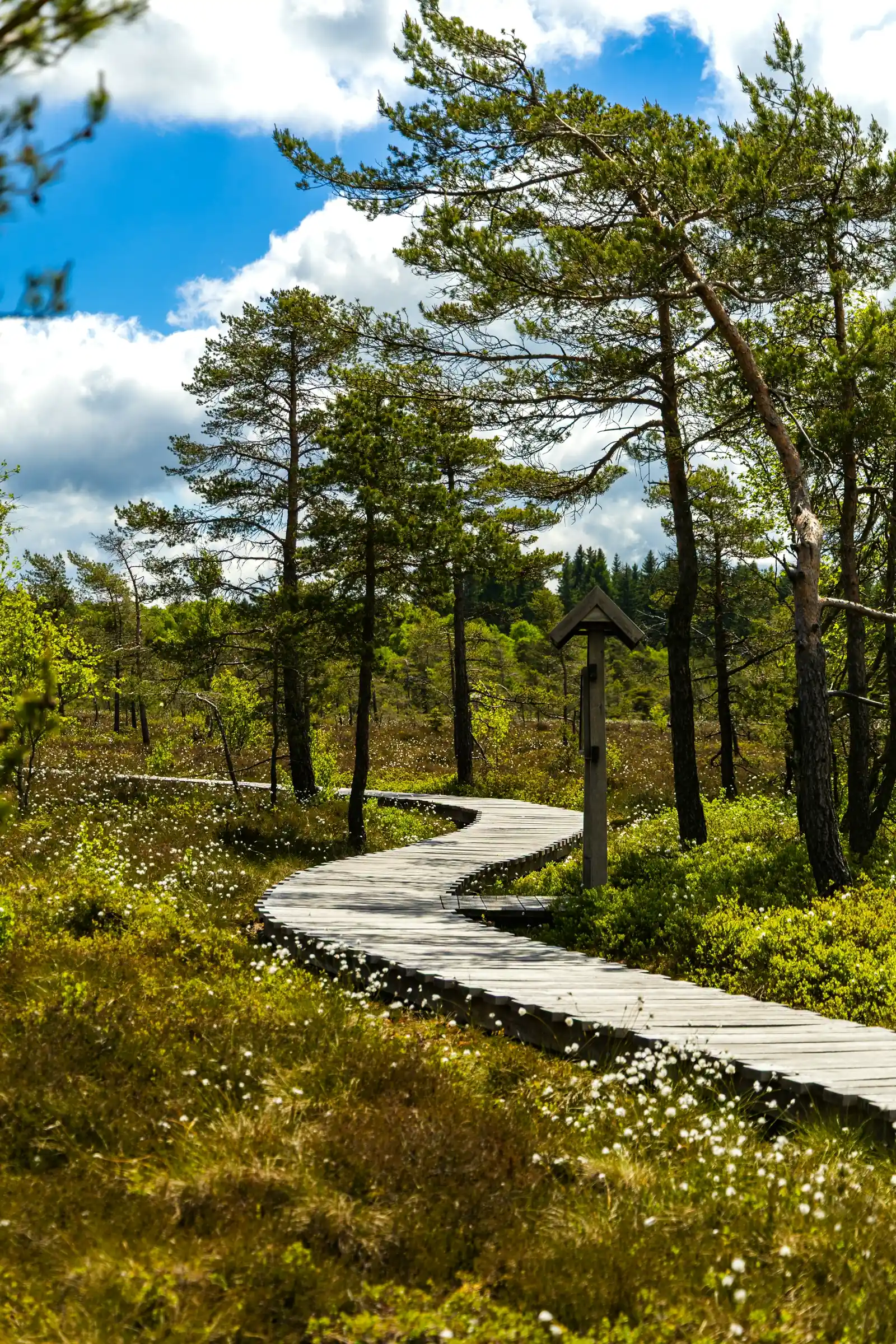 Sondheim vor der Rhön